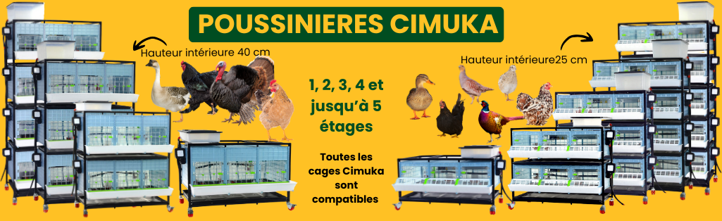 Cages pour poussins, canetons, cailleteaux, faisandeaux, dindonneaux, perdreaux